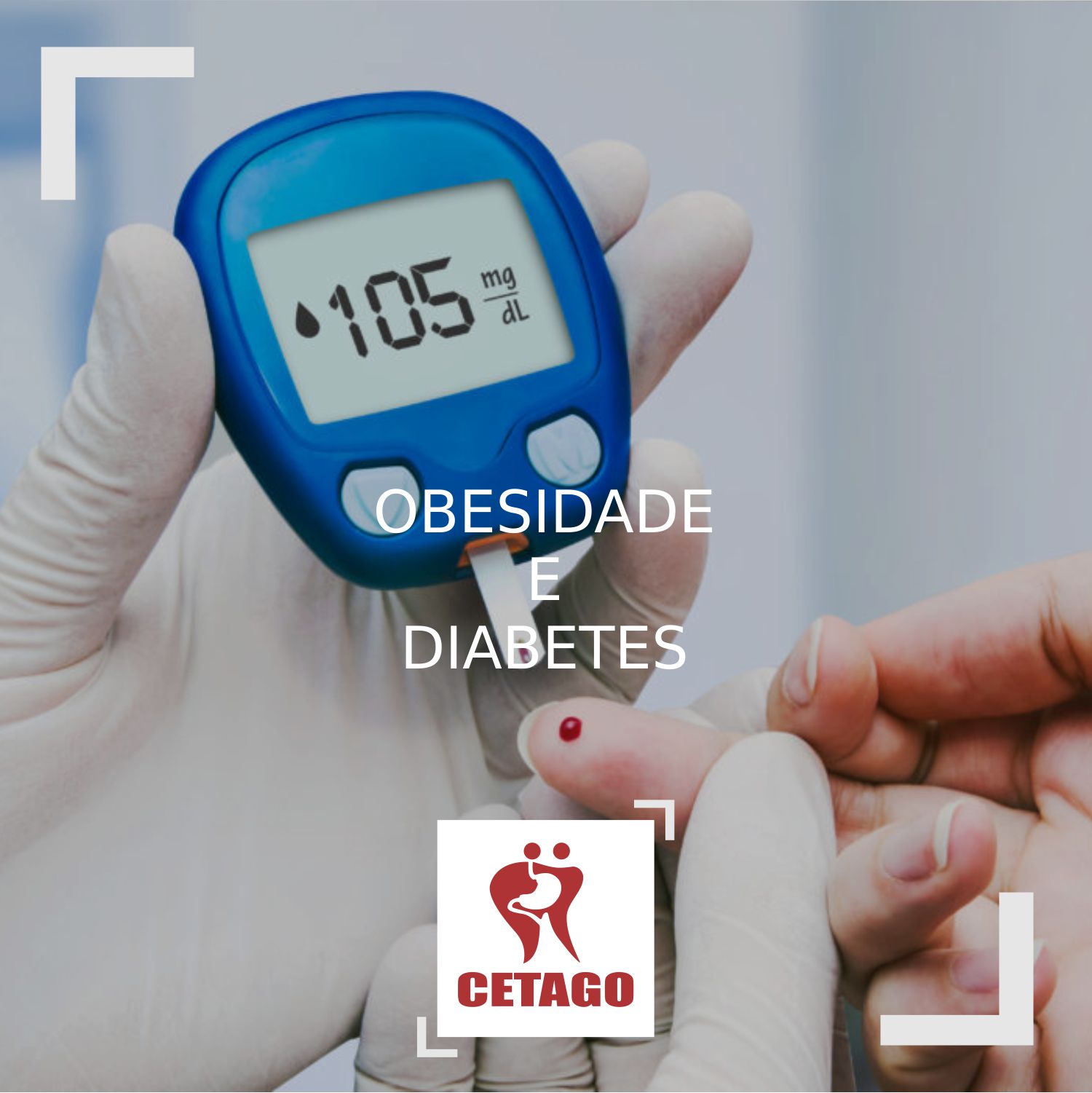 Artigo: Obesidade e Diabetes